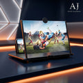 Portable Video Amplifying Screen